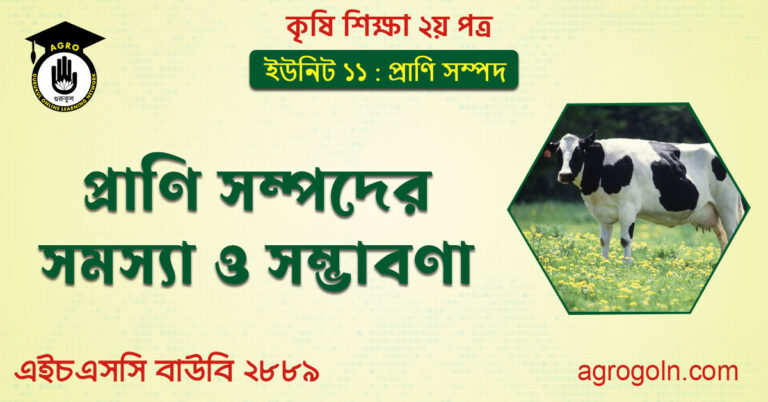 প্রাণি সম্পদের সমস্যা ও সম্ভাবণা