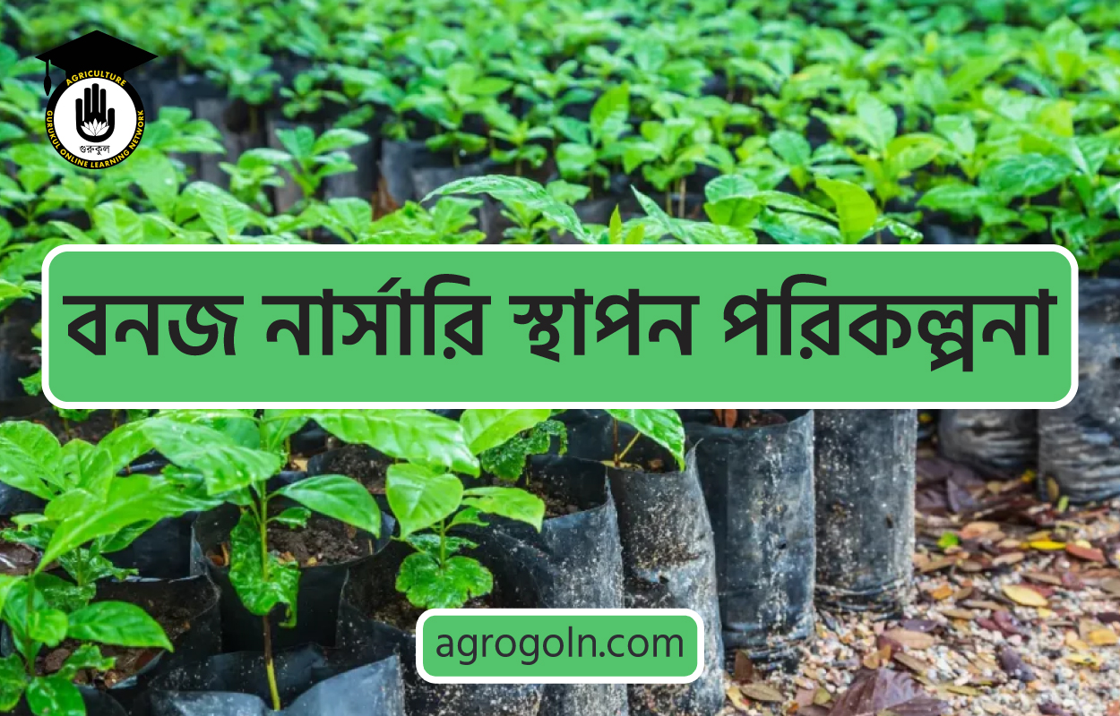 বনজ নার্সারি স্থাপন পরিকল্পনা 1 বনজ নার্সারি স্থাপন পরিকল্পনা