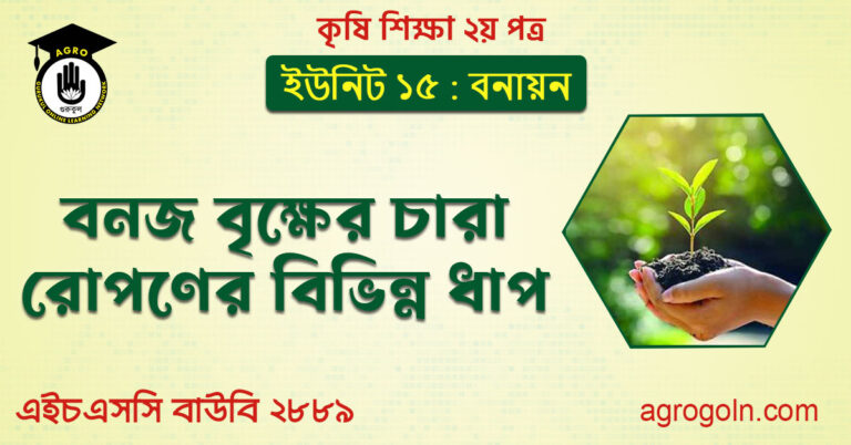 বনজ বৃক্ষের চারা রোপণ