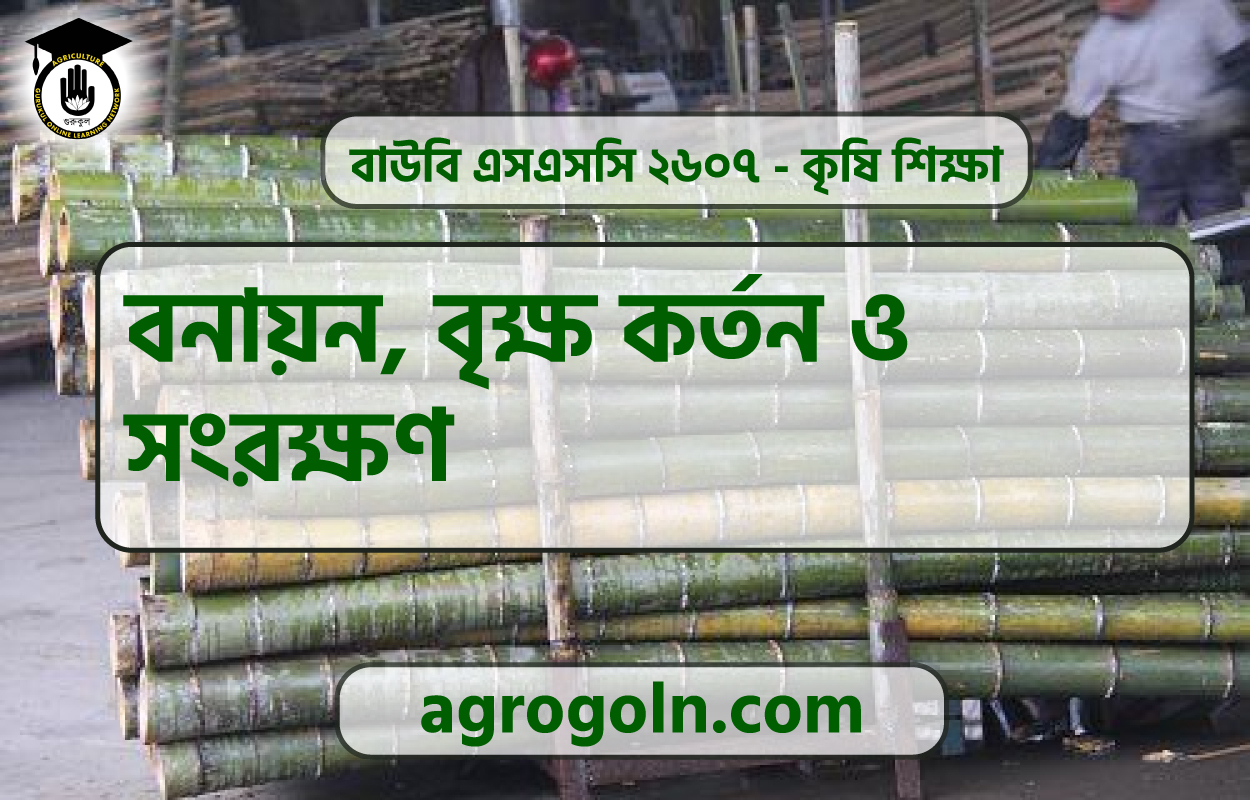 বনায়ন, বৃক্ষ কর্তন ও সংরক্ষণ