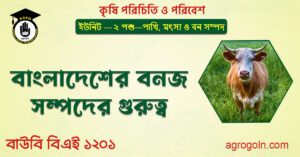 বাংলাদেশের বনজ সম্পদের গুরুত্ব