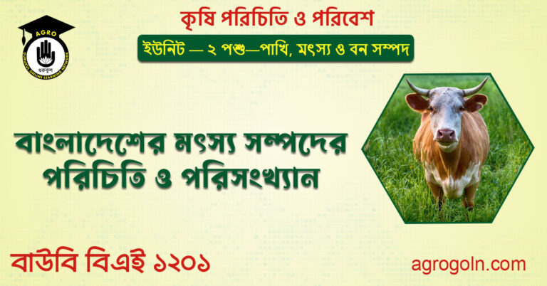 বাংলাদেশের মৎস্য সম্পদের পরিচিতি ও পরিসংখ্যান