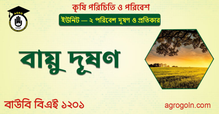 বায়ু দূষণ