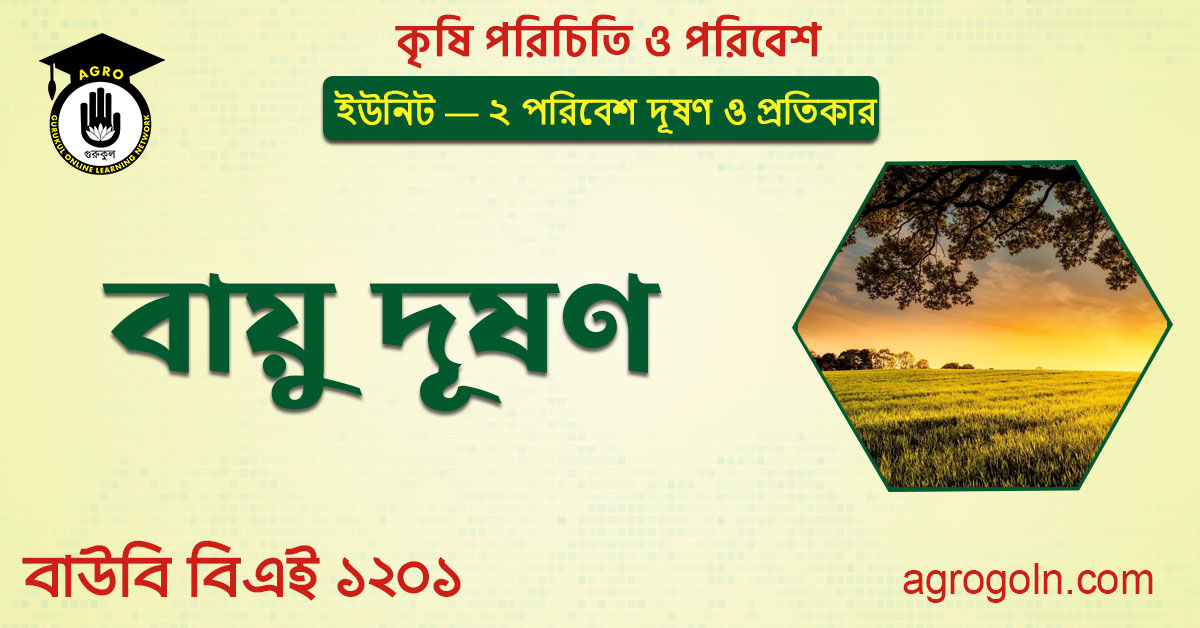 বায়ু দূষণ