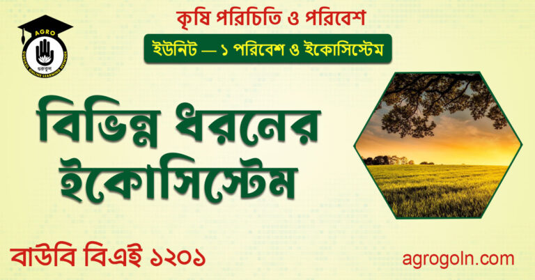 বিভিন্ন ধরনের ইকোসিস্টেম