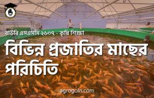 বিভিন্ন প্রজাতির মাছের পরিচিতি