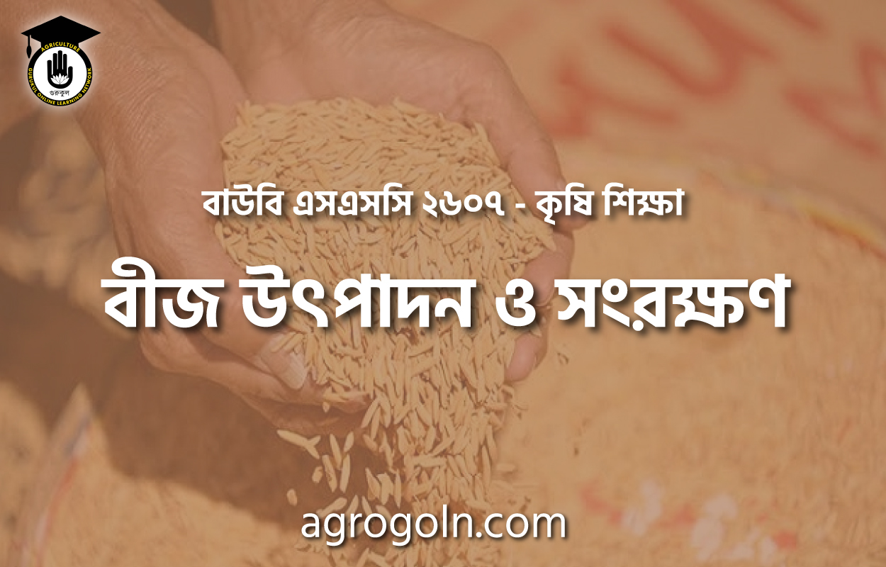 বীজ উৎপাদন ও সংরক্ষণ