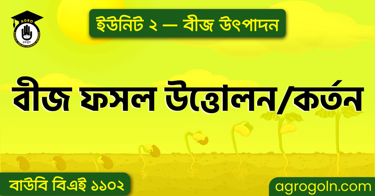 বীজ ফসল উত্তোলন বা বীজ কর্তন 1 বীজ ফসল উত্তোলন বা বীজ কর্তন