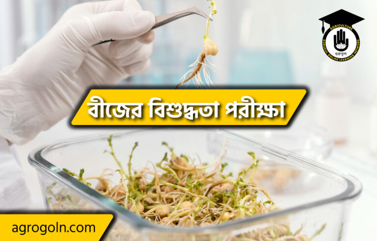 বীজের বিশুদ্ধতা পরীক্ষা