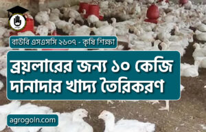 ব্রয়লারের জন্য ১০ কেজি দানাদার খাদ্য তৈরিকরণ