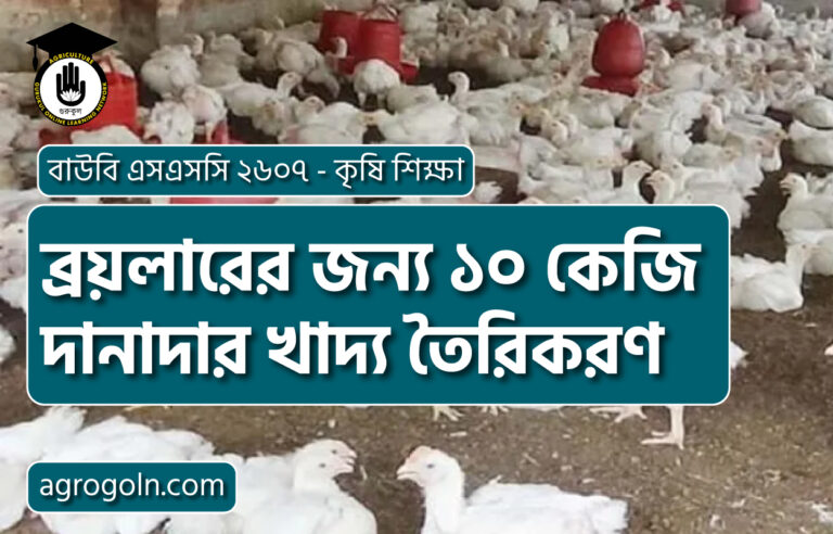 ব্রয়লারের জন্য ১০ কেজি দানাদার খাদ্য তৈরিকরণ
