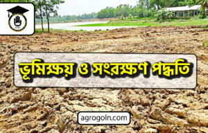 ভূমিক্ষয় ও সংরক্ষণ পদ্ধতি