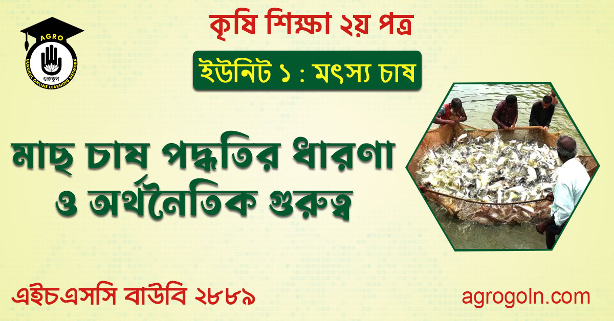 মৎস্য চাষের গুরুত্ব 1 মাছ চাষ পদ্ধতির ধারণা ও অর্থনৈতিক গুরুত্ব