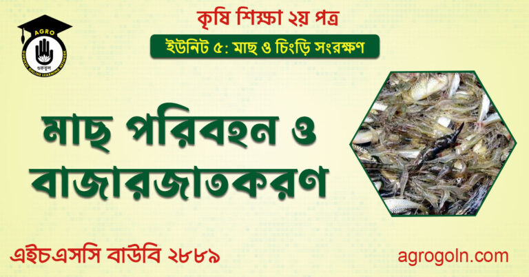 মাছ পরিবহন ও বাজারজাতকরণ