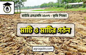 মাটি ও মাটির গঠন