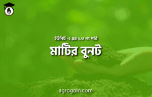 মাটির বুনট
