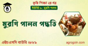 মুরগি পালন পদ্ধতি