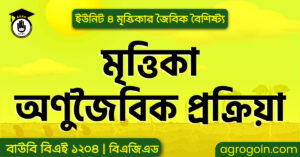 মৃত্তিকা অণুজৈবিক প্রক্রিয়া