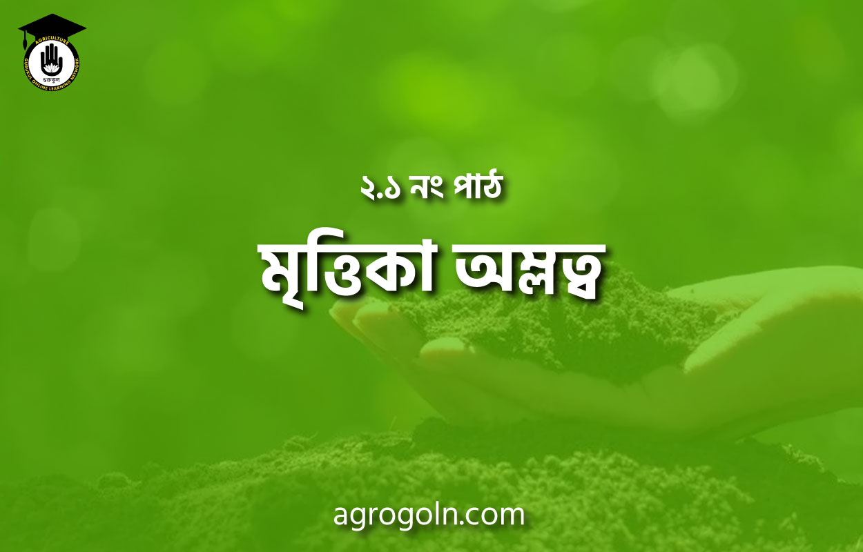 মৃত্তিকা অম্লত্ব