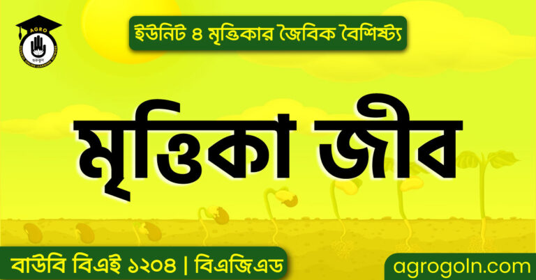 মৃত্তিকা জীব