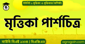 মৃত্তিকা পার্শচিত্র