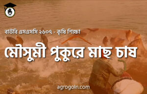মৌসুমী পুকুরে মাছ চাষ
