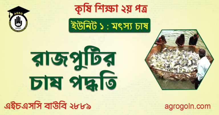 রাজপুটির চাষ পদ্ধতি