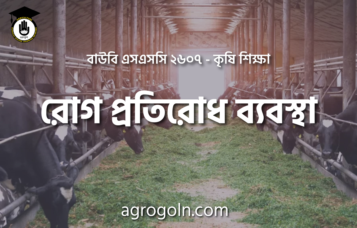 রোগ প্রতিরোধ ব্যবস্থা
