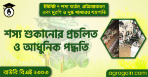 শস্য শুকানোর প্রচলিত ও আধুনিক পদ্ধতি শস্য-শুকানোর-প্রচলিত-ও-আধুনিক-পদ্ধতি