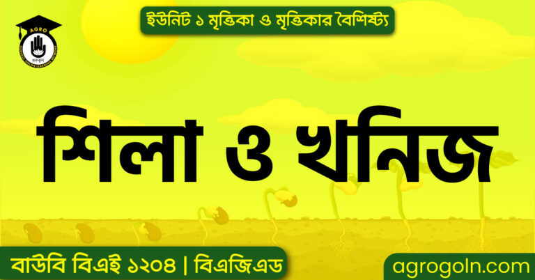 শিলা ও খনিজ