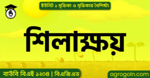 শিলাক্ষয় শিলাক্ষয়
