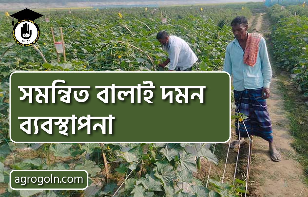 সমন্বিত বালাই দমন ব্যবস্থাপনা 1 সমন্বিত বালাই দমন ব্যবস্থাপনা