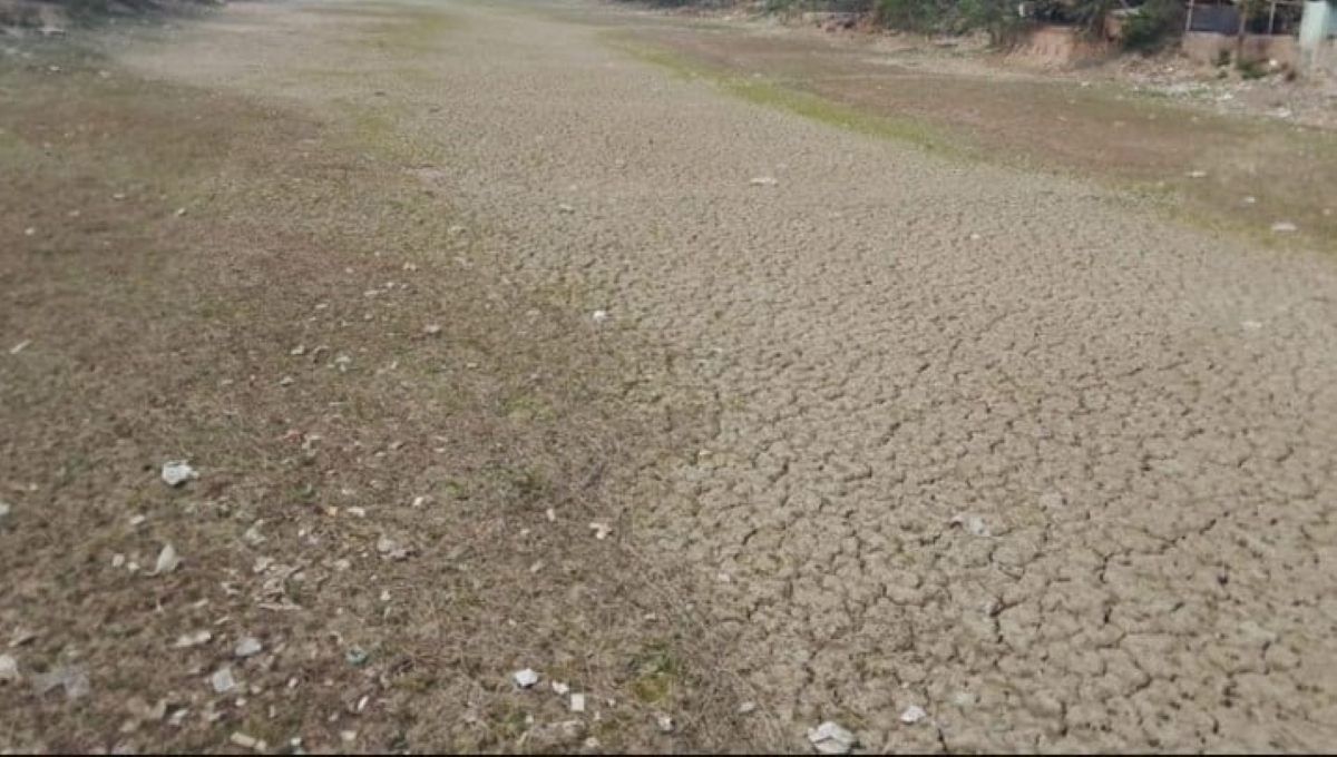 কৃষি কাজে বিপর্যয়